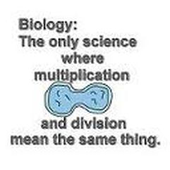 biology jokes mitosis